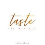 tastethemiracle